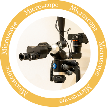 Microscope